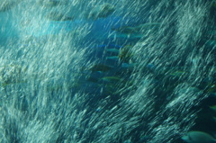 IMGP0512