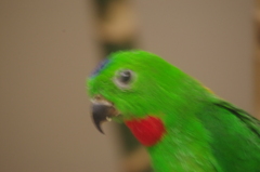 IMGP1197