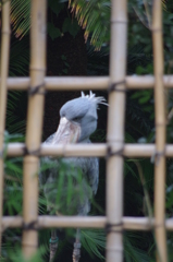 IMGP1125