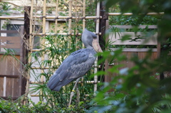 IMGP1122