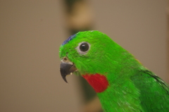 IMGP1198