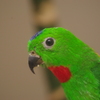 IMGP1198