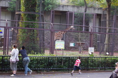 IMGP1143