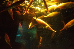 IMGP0541