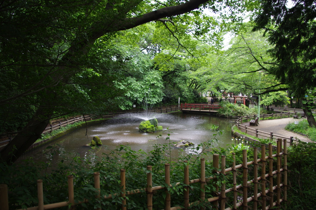 与野公園