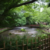 与野公園