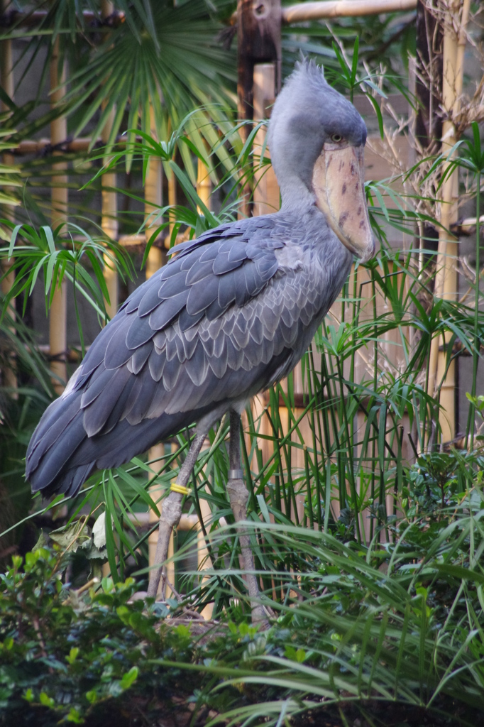 IMGP1119