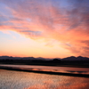 朝