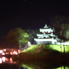 高田公園　夜