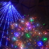 クリスマスツリーとイルミネーション