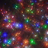 クリスマスツリー