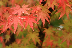 雨あがり