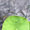 こんな事あるの？？？　①