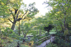 三渓園