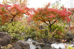 檜町公園