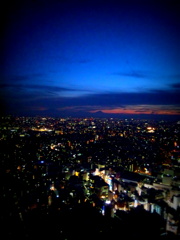 展望台から見た東京の夜景