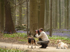 犬と人