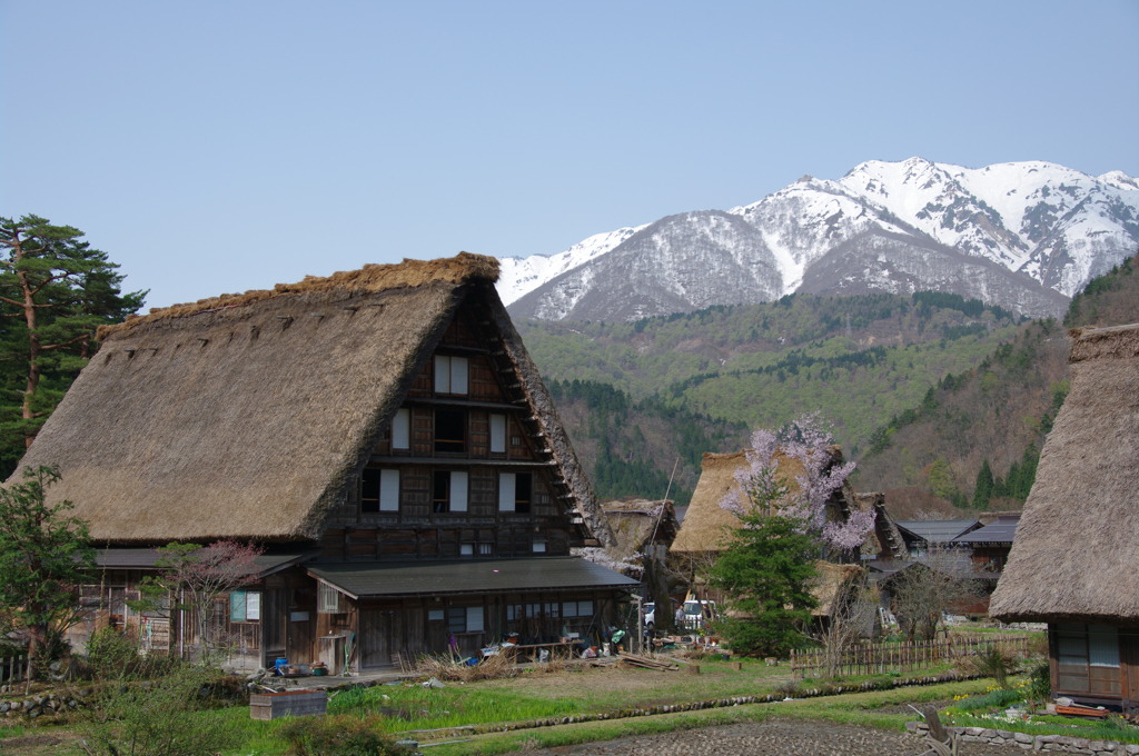 白川郷②
