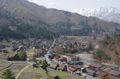 白川郷