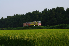 がんばれ！ひたちなか海浜鉄道！！