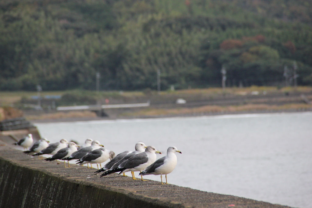 晩飯なにする～？