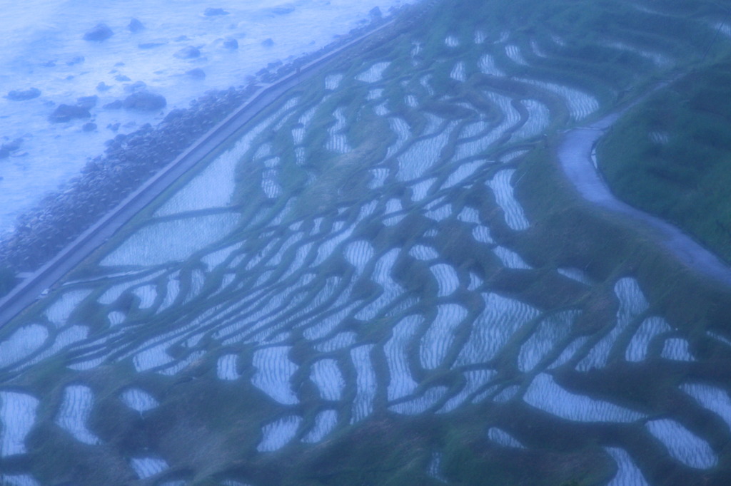 輪島市白米の千枚田