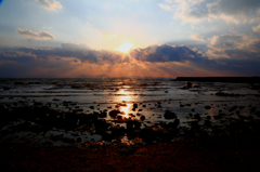 太古の海