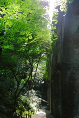 水の道
