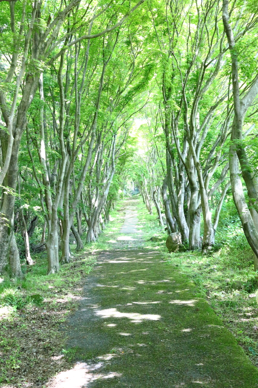 何も見えないけど