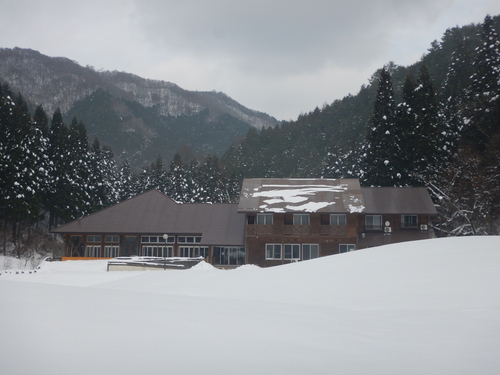 冬の県有林