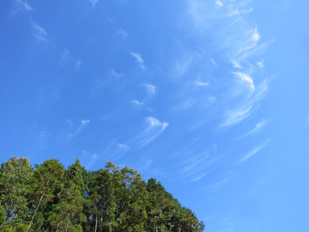 秋空