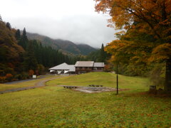 秋の県有林2