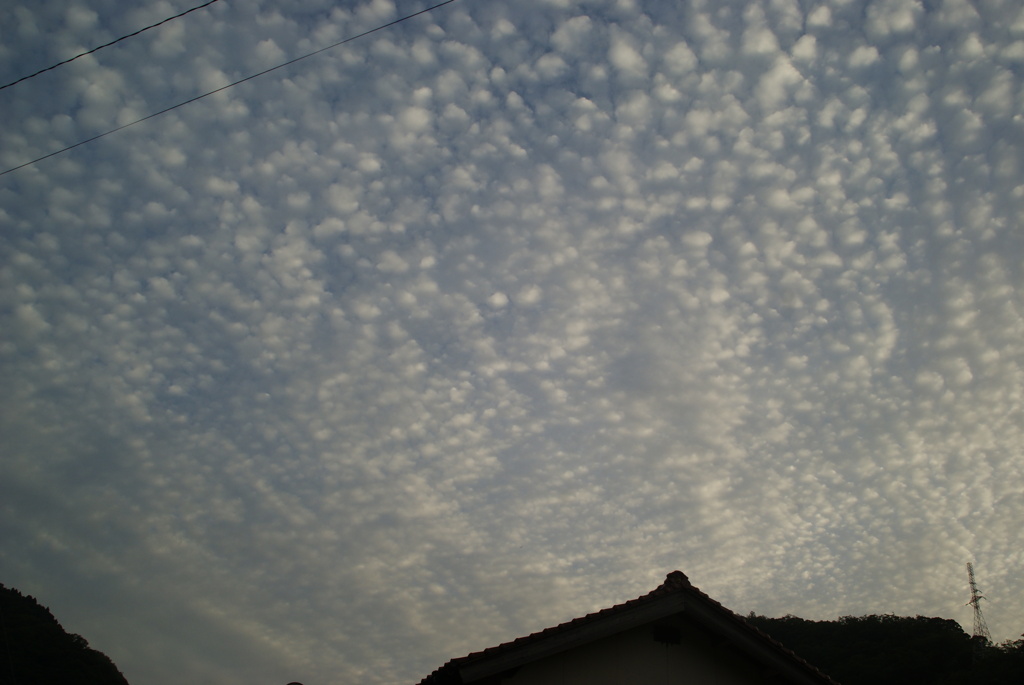 DSC05802