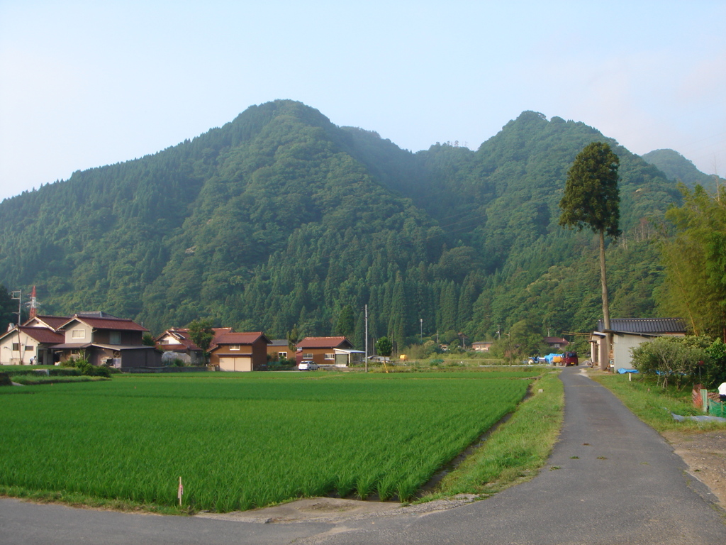 朝の風景