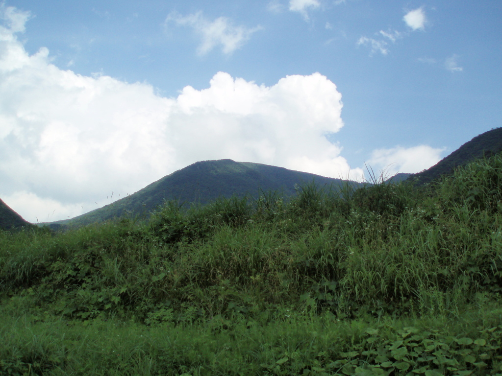 大万木山