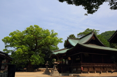 糸崎神社　~静寂~