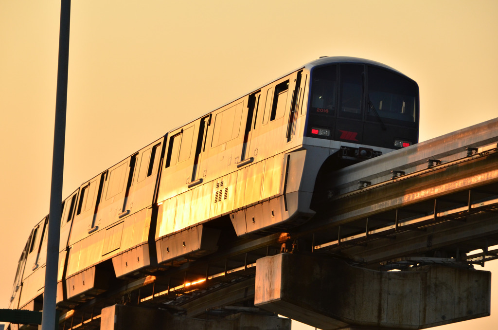 tokyo mono Rail 東京単一軌条
