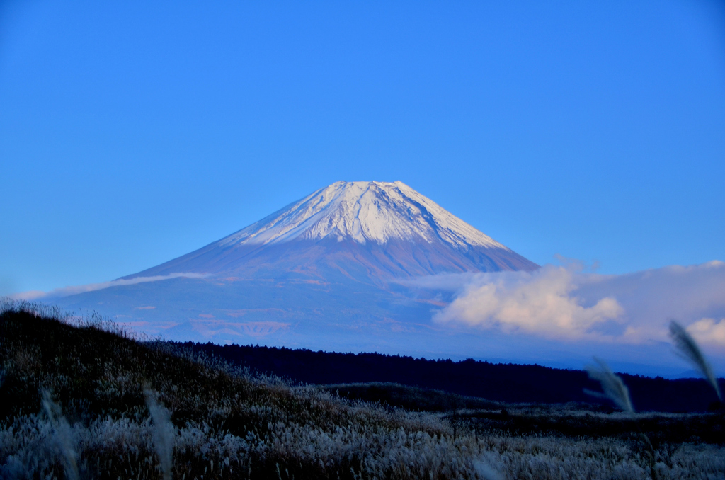 すすき野の富士