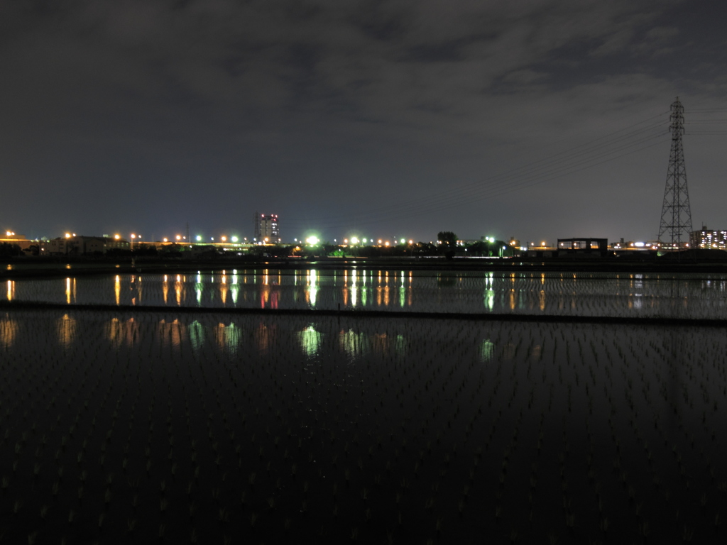 夜の田んぼと高速道路