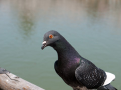 なにか・・・？