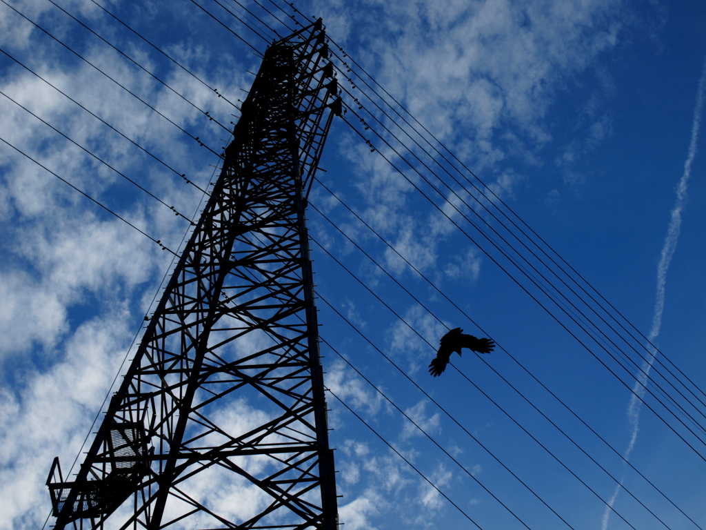 鉄塔とカラス
