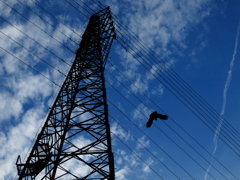 鉄塔とカラス