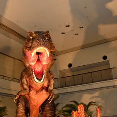 ぎゃー！喰われる！！