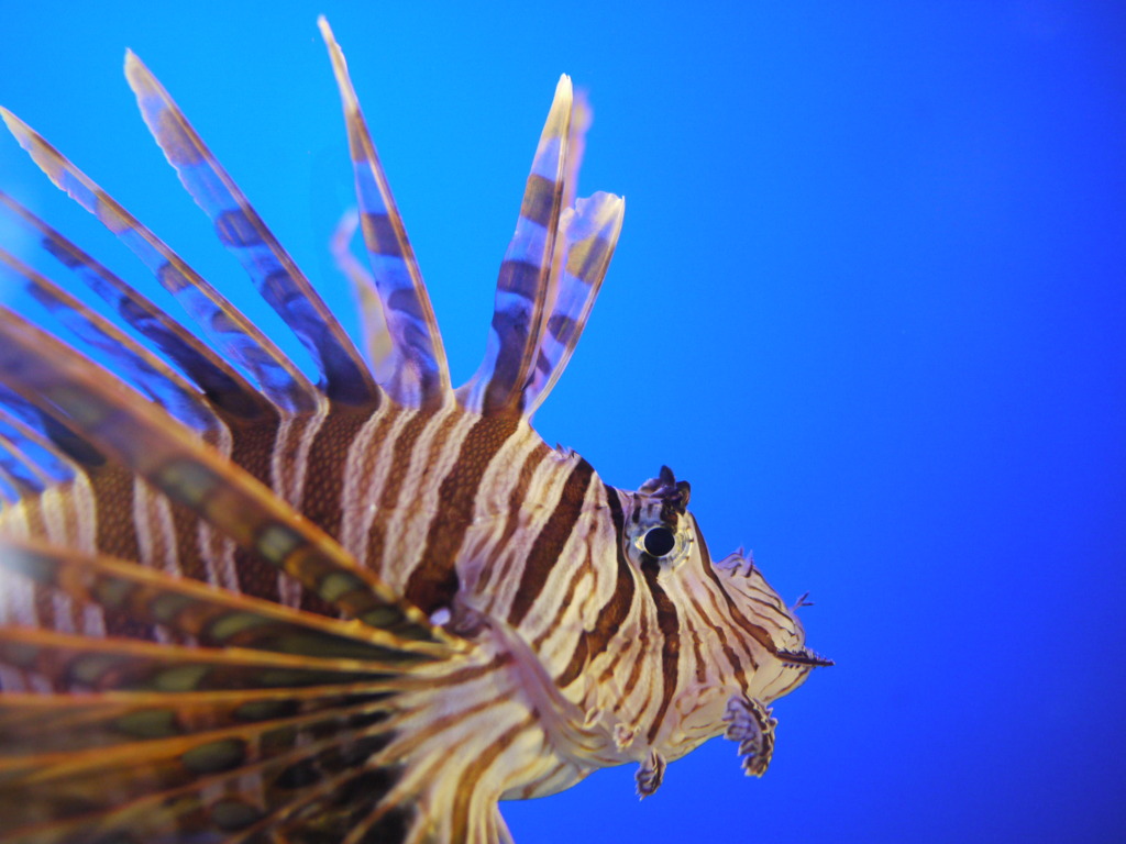 結構・・・かわいい？