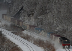 20160208-11 (39)