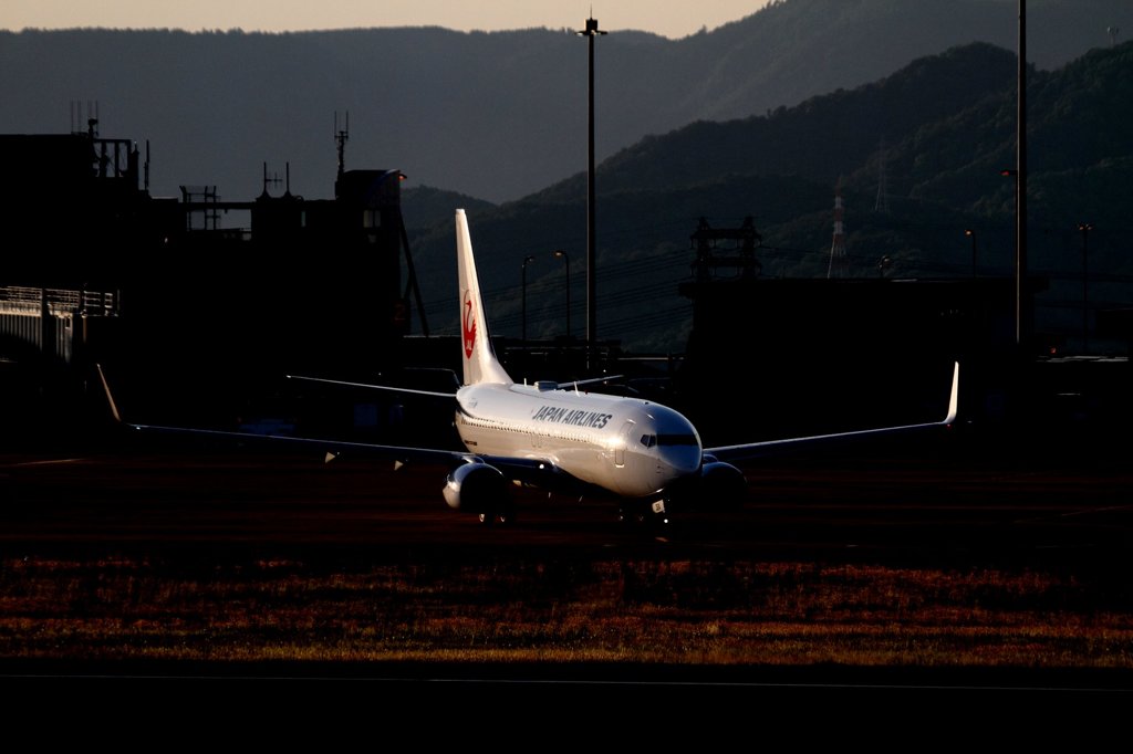 JAL B737-800