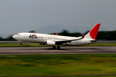 JAL B737-800