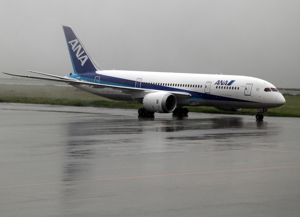 B787-800