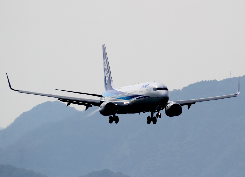 ANA B737-800