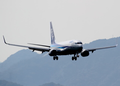 ANA B737-800